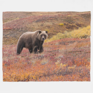 Beer Moves Denali National Park, Alaska in Herfst Fleece Deken