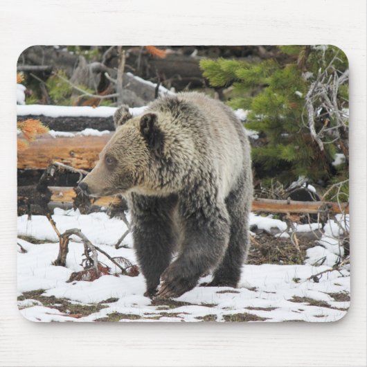 Beer Muismat (Voorkant)