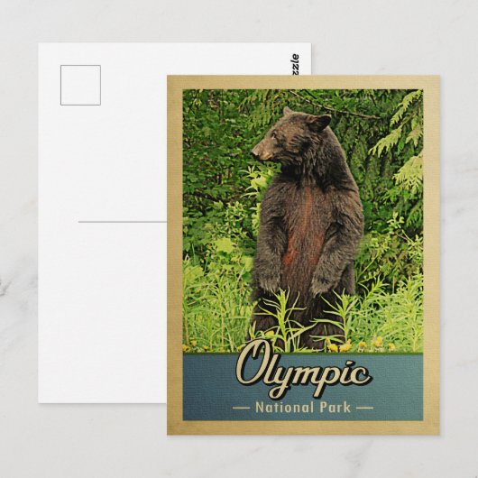  Beer olympisch nationaal park Briefkaart (Voorkant / Achterkant)