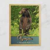  Beer olympisch nationaal park Briefkaart (Voorkant)