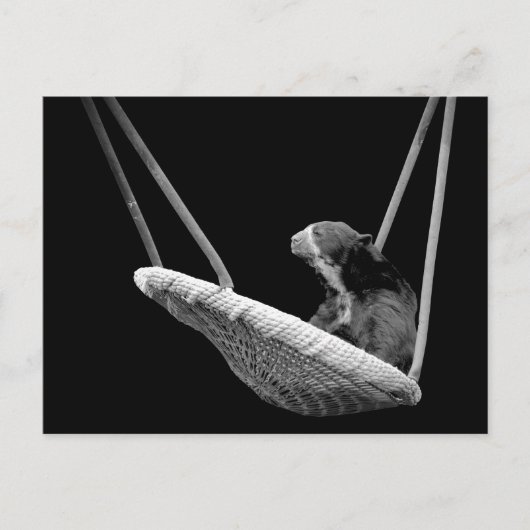 Beer op de Zacht in Zwart-wit Briefkaart (Voorkant)