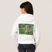 Beer op schommel vanaf de rug. (Achterkant volledig)