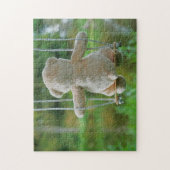 Beer op schommel vanaf de rug. legpuzzel (Verticaal)