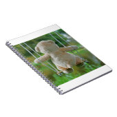 Beer op schommel vanaf de rug. notitieboek (Rechterzijde)