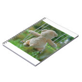 Beer op schommel vanaf de rug. notitieboek (Linkerzijde)