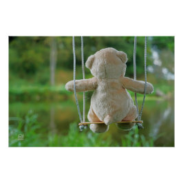 Beer op schommel vanaf de rug. perfect poster