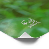 Beer op schommel vanaf de rug. perfect poster (Hoek)