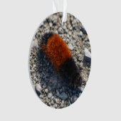 Beer Ornament (voorkant)