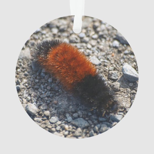 Beer Ornament (achterkant)