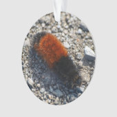 Beer Ornament (voorkant)