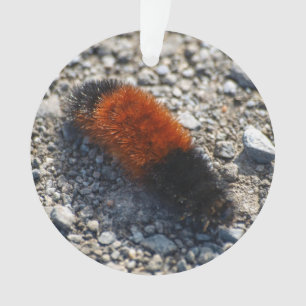 Beer Ornament