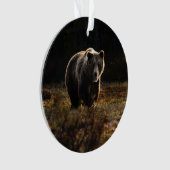 Beer Ornament (voorkant)