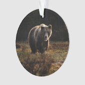 Beer Ornament (voorkant)