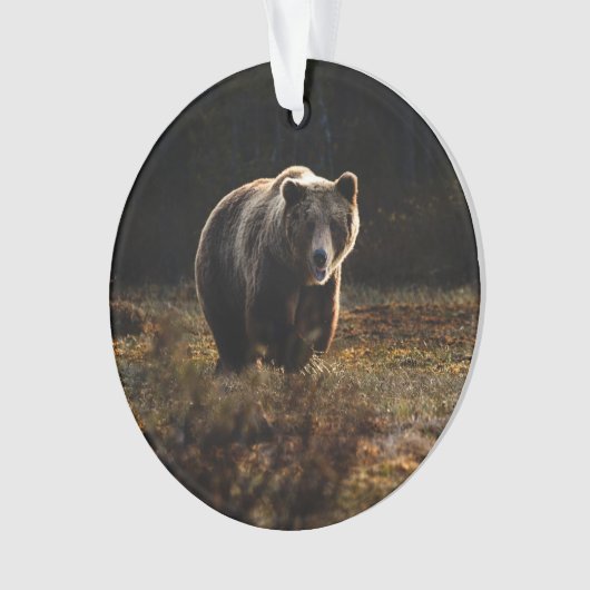 Beer Ornament (voorkant)