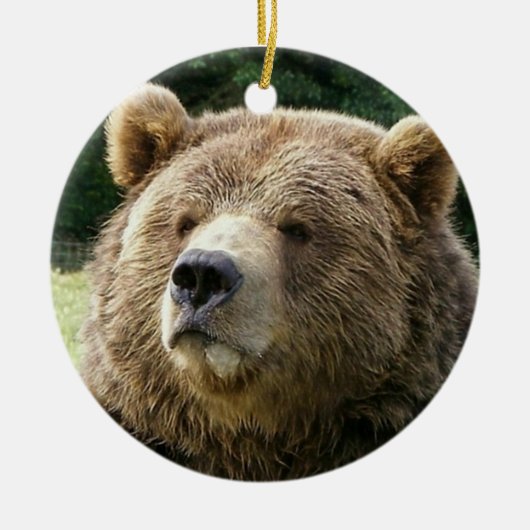 Beer Ornament (Voorkant)