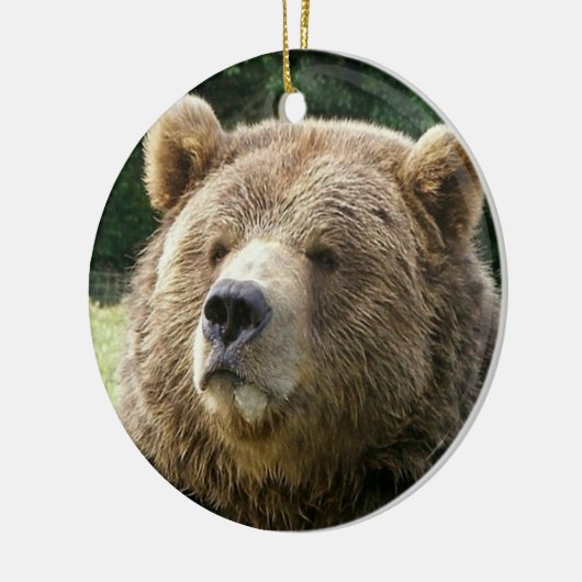 Beer Ornament (Links)