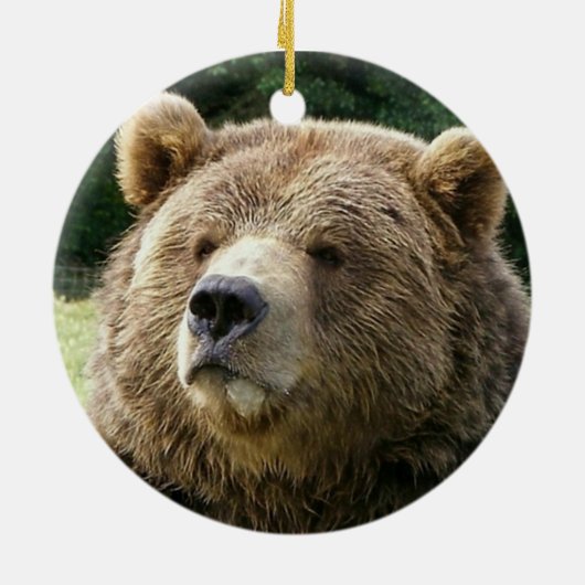 Beer Ornament (Achterkant)