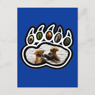 Beer Paw Briefkaart