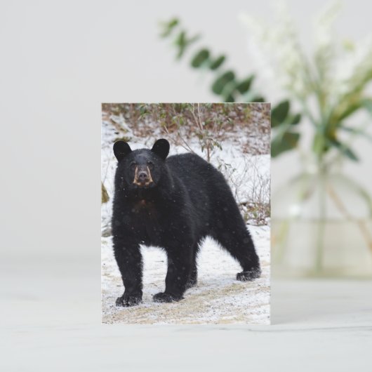 Beer Pennsylvania Black in Winter Briefkaart (Staand voorkant)