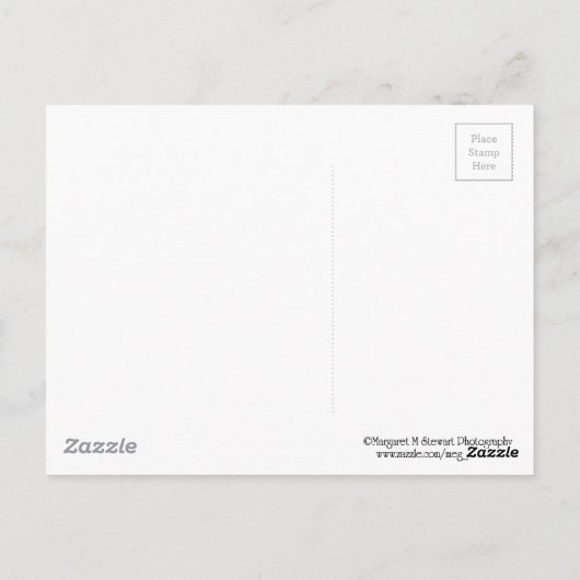 Beer Pennsylvania Black in Winter Briefkaart (Achterkant)