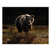 Beer Perfect Poster (Voorkant)