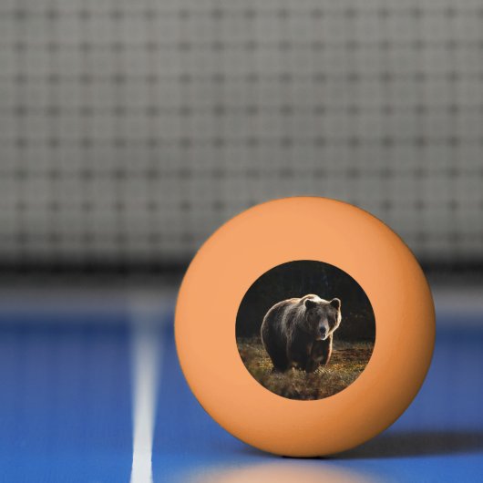 Beer Pingpongbal (Net)