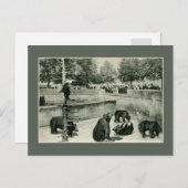 beer pit in Bern (Bern) Zwitserland foto Briefkaart (Voorkant / Achterkant)