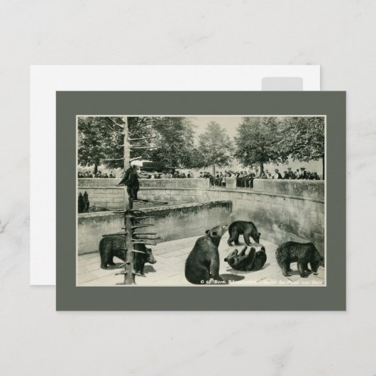  beer pit in Bern (Bern) Zwitserland foto Briefkaart (Voorkant / Achterkant)