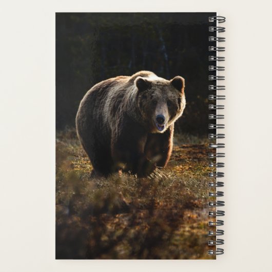 Beer Planner (Achterkant)