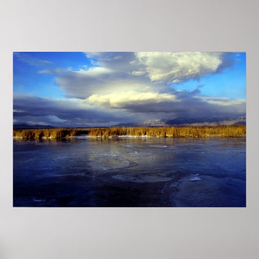 Beer Poster (Voorkant)