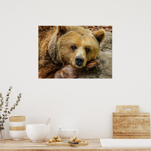 Beer Poster (Keuken)