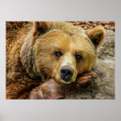 Beer Poster (Voorkant)