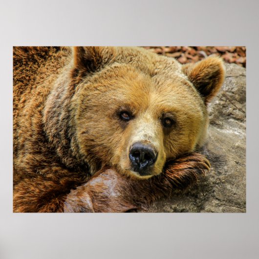 Beer Poster (Voorkant)