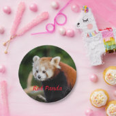 Beer Red Panda Papieren Bordje (Feest)