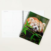 Beer Red Panda Planner (Display)