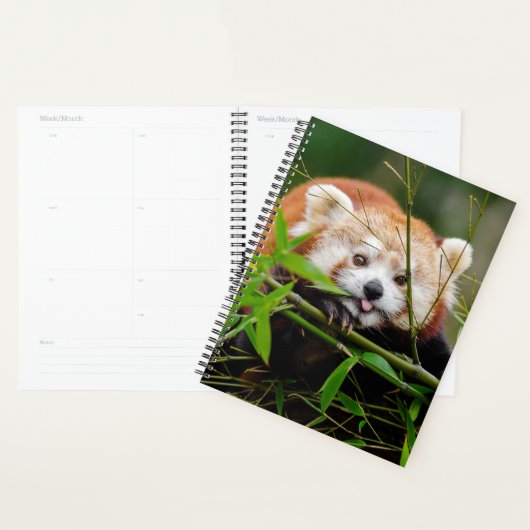 Beer Red Panda Planner (Display)