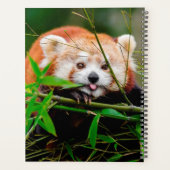 Beer Red Panda Planner (Achterkant)