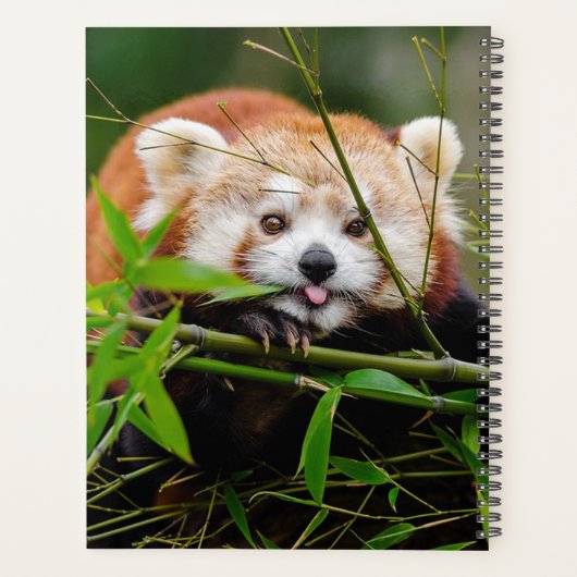 Beer Red Panda Planner (Achterkant)