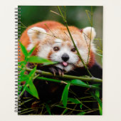 Beer Red Panda Planner (Voorkant)