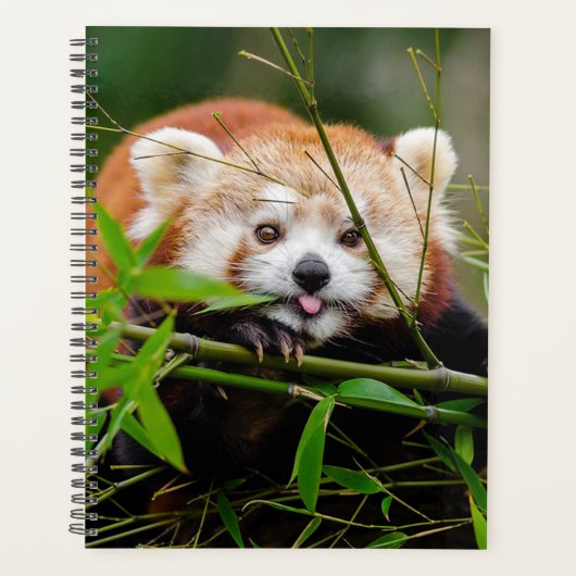 Beer Red Panda Planner (Voorkant)