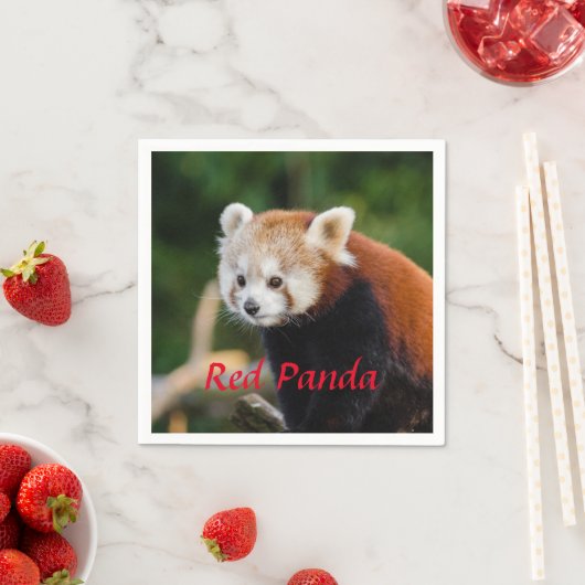 Beer Red Panda Servet (Insitu)