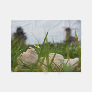 Beer relaxt in natuur met Hollandse molen. Fleece Deken