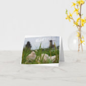 Beer relaxt in natuur met Hollandse molen. Kaart (Gele Bloem)