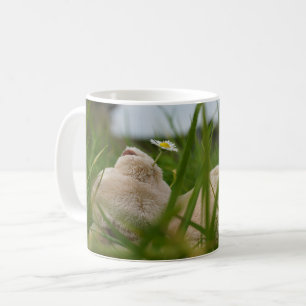 Beer relaxt in natuur met Hollandse molen. Koffiemok