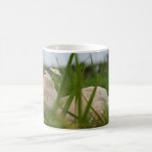 Beer relaxt in natuur met Hollandse molen. Koffiemok (Center)