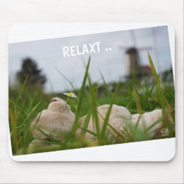 Beer relaxt in natuur met Hollandse molen. Muismat