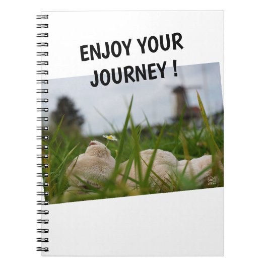 Beer relaxt in natuur met Hollandse molen. Notitieboek (Voorkant)