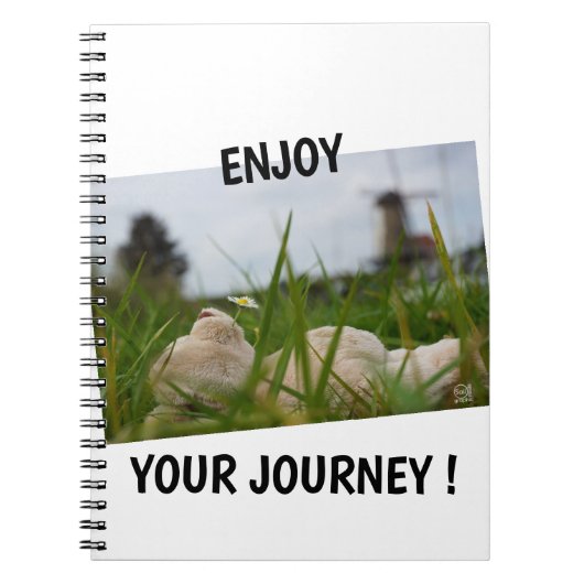 Beer relaxt in natuur met Hollandse molen. Notitieboek (Voorkant)