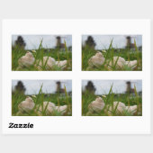 Beer relaxt in natuur met Hollandse molen. Rechthoekige Sticker (Vel)