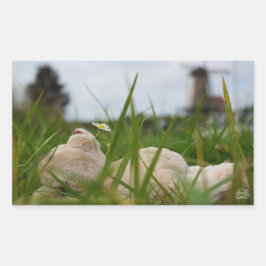 Beer relaxt in natuur met Hollandse molen. Rechthoekige Sticker